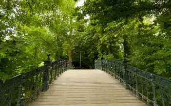 Şehrin Kalbindeki Yeşil Vaha: Park Gezisi